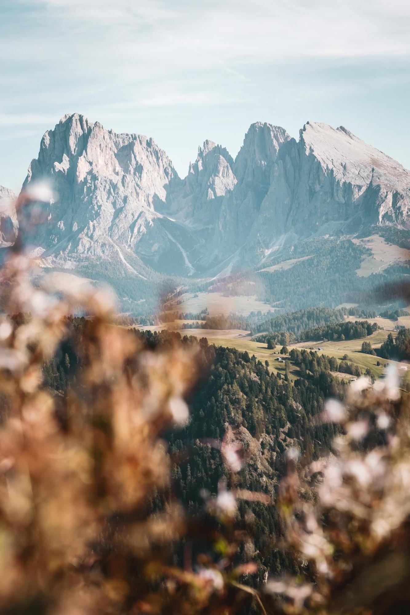 Dorfhotel Beludei Santa Cristina Val Gardena Exteriör bild
